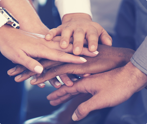 365速发国际(中国)官方网站