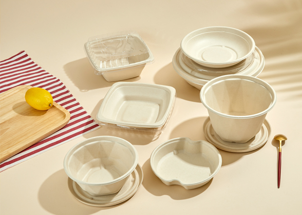 365速发国际(中国)官方网站