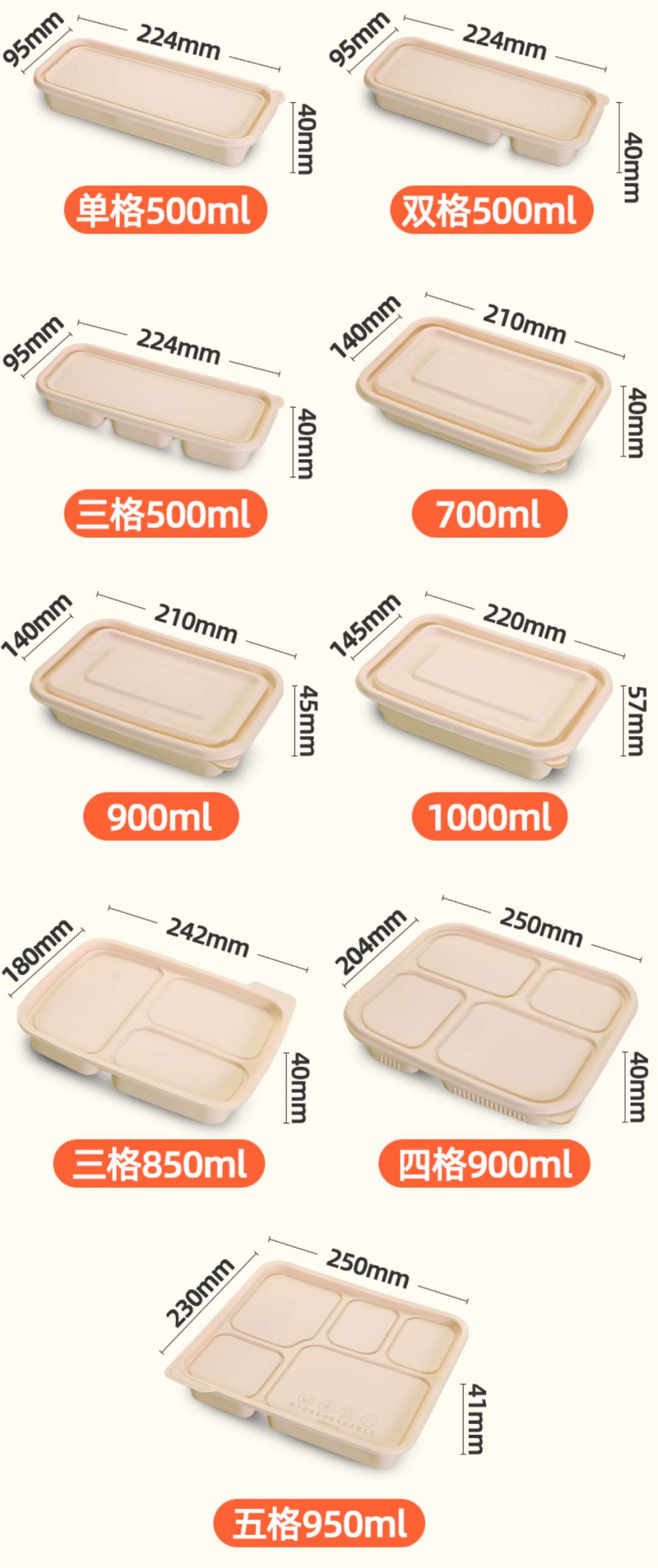 365速发国际(中国)官方网站