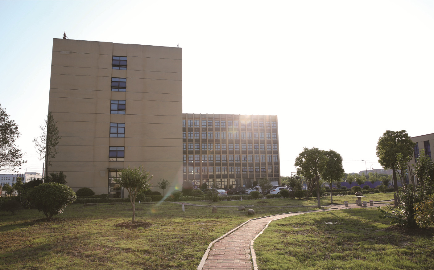 365速发国际(中国)官方网站