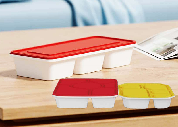 365速发国际(中国)官方网站